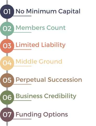 Public Limited to Private Limited 3 Closing Private Limited Company